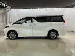 ���Ͽ͵��Υۥ磻�ȥѡ��륯�ꥹ���륷�㥤��Ǥ��� 4