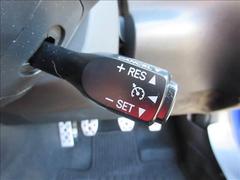 �£ң� �ӡȣ������衡�����������������̣��������ɡ��������襢�˥С����꡼��ߥƥåɡ����륳�� 0201170A20251130D001 6