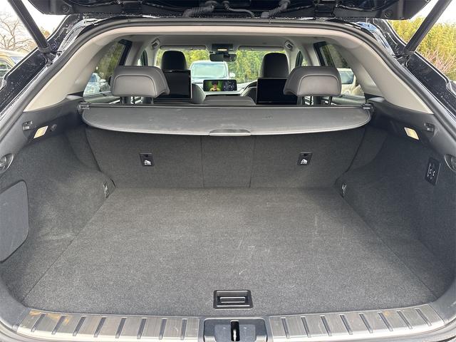 ＲＸ ＲＸ３００　バージョンＬ　セーフティセンス　純正ナビ　地デジＴＶ　ＢＴ　パノラミックビューモニター　ＥＴＣ２．０　ＨＵＤ　パワーバックドア　後席モニタ　ＢＳＭ　ＭＯＰ２０インチＡＷ　シートヒーター　ベンチレーション　本革シート（23枚目）