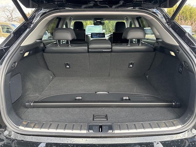 ＲＸ ＲＸ３００　バージョンＬ　セーフティセンス　純正ナビ　地デジＴＶ　ＢＴ　パノラミックビューモニター　ＥＴＣ２．０　ＨＵＤ　パワーバックドア　後席モニタ　ＢＳＭ　ＭＯＰ２０インチＡＷ　シートヒーター　ベンチレーション　本革シート（25枚目）