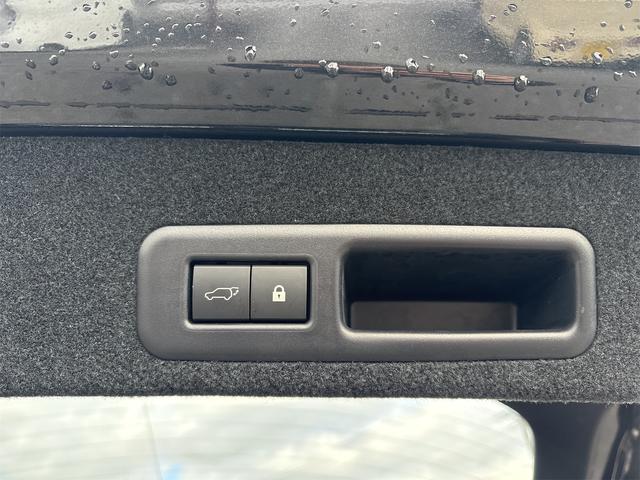 ＲＸ ＲＸ３００　バージョンＬ　セーフティセンス　純正ナビ　地デジＴＶ　ＢＴ　パノラミックビューモニター　ＥＴＣ２．０　ＨＵＤ　パワーバックドア　後席モニタ　ＢＳＭ　ＭＯＰ２０インチＡＷ　シートヒーター　ベンチレーション　本革シート（30枚目）