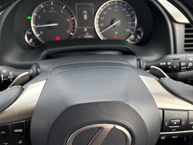 ＲＸ ＲＸ３００　バージョンＬ　セーフティセンス　純正ナビ　地デジＴＶ　ＢＴ　パノラミックビューモニター　ＥＴＣ２．０　ＨＵＤ　パワーバックドア　後席モニタ　ＢＳＭ　ＭＯＰ２０インチＡＷ　シートヒーター　ベンチレーション　本革シート（34枚目）