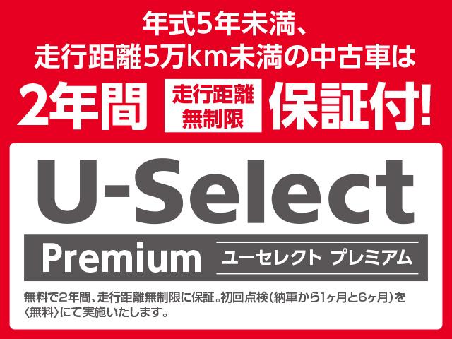 ｅ：Ｌ４　ギャザズ８インチメモリーナビ　フルセグＴＶ　ブルートゥース　バックカメラ　オートライト　オートハイビーム　ＥＴＣ車載器　ホンダセンシング　ワンオーナー　禁煙車　両側スライドドア　Ｐセンサー　Ｓヒーター（画像47）