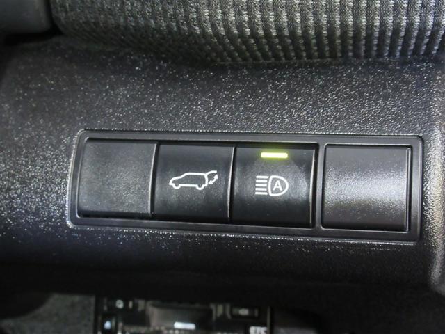 �I�[�g�}�`�b�N�n�C�r�[���t���ł��B