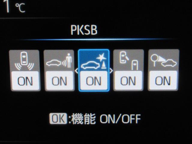 �p�[�L���O�T�|�[�g�u���[�L�t���ł��B