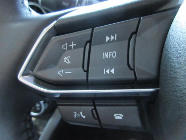 CX-3 15S ツーリング 衝突被害軽減システム アダプティブクルーズコントロール 全周囲カメラ オートマチックハイビーム バックカメラ オートライト LEDヘッドランプ ETC Bluetooth ワンオーナー(9枚目)