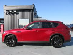 �ǥ⥫���գм֤�ŹƬ�ޤǸ�ʪ��ǧ���Ǥ������ΤߤΤ��Ҳ�Ȥʤ�ޤ��� 3