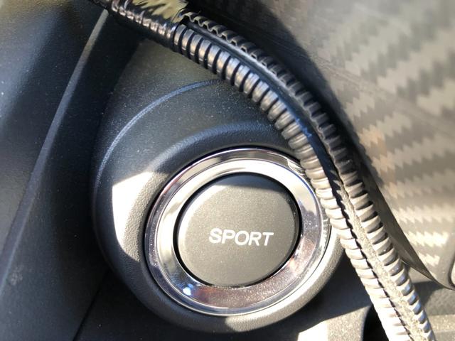 S660 α 社外ポータブルナビ ワンセグTV ETC アクティブリアスポイラー CTBA スマートキー ワンオーナー ステアリングリモコン パドルシフト(39枚目)