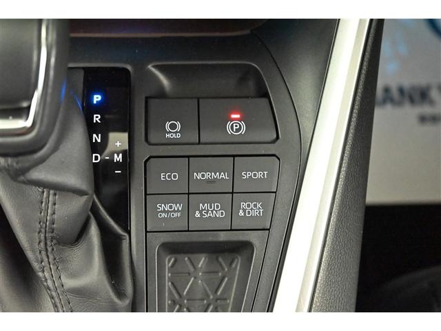ＲＡＶ４ Ｇ　ナビ・ＴＶ　Ｂカメラ　点検記録簿　パワーウインドウ　カーテンエアバック　運転席パワーシート　イモビライザー　地デジ　キーレス　ＥＴＣ付　ＬＥＤヘッドライ　クルコン　オートエアコン　横滑り防止装置　ＡＷ（19枚目）