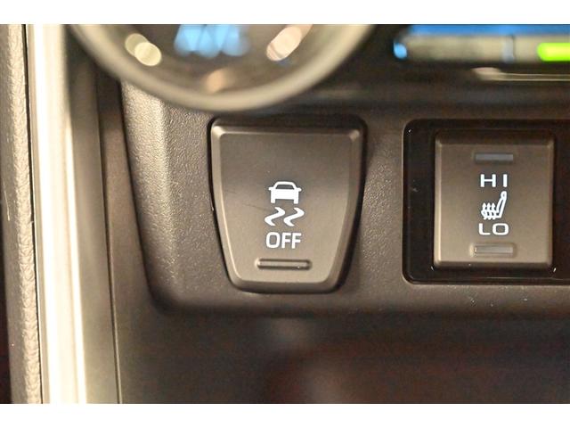 ＲＡＶ４ Ｇ　ナビ・ＴＶ　Ｂカメラ　点検記録簿　パワーウインドウ　カーテンエアバック　運転席パワーシート　ワンオーナ　イモビライザー　地デジ　キーレス　ＥＴＣ付　ＬＥＤヘッドライ　クルコン　オートエアコン　４ＷＤ車（23枚目）