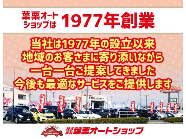 Ｆ　セーフティーエディションＩＩＩ　禁煙車　ＥＴＣ　バックカメラ　ナビ　ＴＶ　レーンアシスト　衝突被害軽減システム　オートマチックハイビーム　オートライト　ＬＥＤヘッドランプ　スマートキー　アイドリングストップ　電動格納ミラー　ＣＶＴ(35枚目)