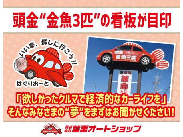 Ｆ　セーフティーエディションＩＩＩ　禁煙車　ＥＴＣ　バックカメラ　ナビ　ＴＶ　レーンアシスト　衝突被害軽減システム　オートマチックハイビーム　オートライト　ＬＥＤヘッドランプ　スマートキー　アイドリングストップ　電動格納ミラー　ＣＶＴ(40枚目)