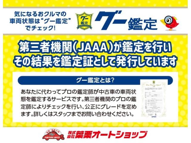 Ｇ　ＨＶ　禁煙車　ドライブレコーダー　バックカメラ　クリアランスソナー　オートクルーズコントロール　レーンアシスト　衝突被害軽減システム　エアロ　ナビ　ＴＶ　オートライト　ＬＥＤヘッドランプ(45枚目)