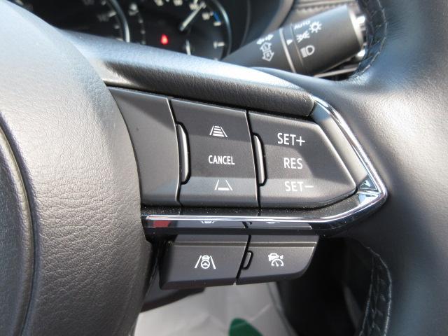 ＣＸ－８ ２５Ｓ　スポーツアピアランス　アダプティブクルーズコントロール　全周囲カメラ　３列シート　革シート　電動シート　シートヒーター　バックカメラ　オートライト　ＬＥＤヘッドランプ　ＥＴＣ　Ｂｌｕｅｔｏｏｔｈ　電動リアゲート（11枚目）