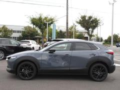 ץ쥹饤Ӥ̤Υɥӥ塼ȿͤʿαǤߤưɽƤޤ 3