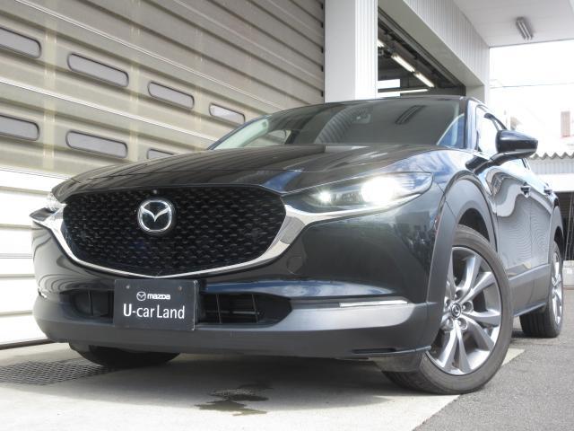 CX-30 XD プロアクティブ ツーリングセレクション 衝突被害軽減システム アダプティブクルーズコントロール 全周囲カメラ オートマチックハイビーム 電動シート オートライト LEDヘッドランプ ETC Bluetooth 電動リアゲート ディーゼル(19枚目)