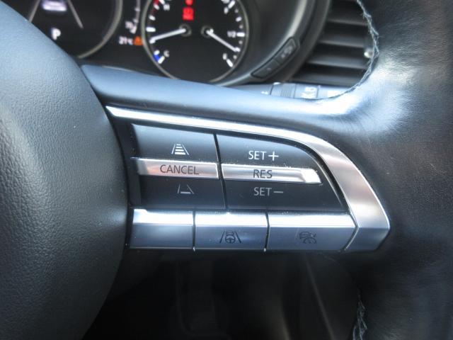 CX-30 XD Lパッケージ 衝突被害軽減システム アダプティブクルーズコントロール 全周囲カメラ オートマチックハイビーム 4WD 革シート 電動シート シートヒーター バックカメラ オートライト LEDヘッドランプ ETC(11枚目)