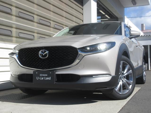 CX-30 XD プロアクティブ ツーリングセレクション 衝突被害軽減システム アダプティブクルーズコントロール 全周囲カメラ オートマチックハイビーム 革シート 電動シート シートヒーター バックカメラ オートライト LEDヘッドランプ ETC ディーゼル(19枚目)