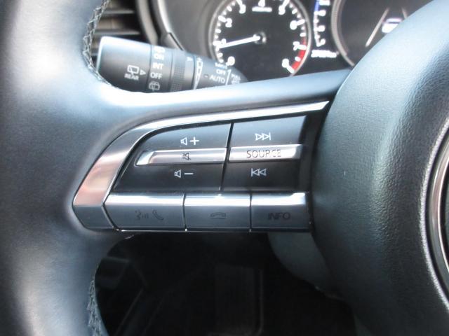 ＣＸ－３０ ２０Ｓ　プロアクティブ　ツーリングセレクション　衝突被害軽減システム　アダプティブクルーズコントロール　全周囲カメラ　オートマチックハイビーム　電動シート　シートヒーター　バックカメラ　オートライト　ＬＥＤヘッドランプ　ＥＴＣ　Ｂｌｕｅｔｏｏｔｈ（12枚目）