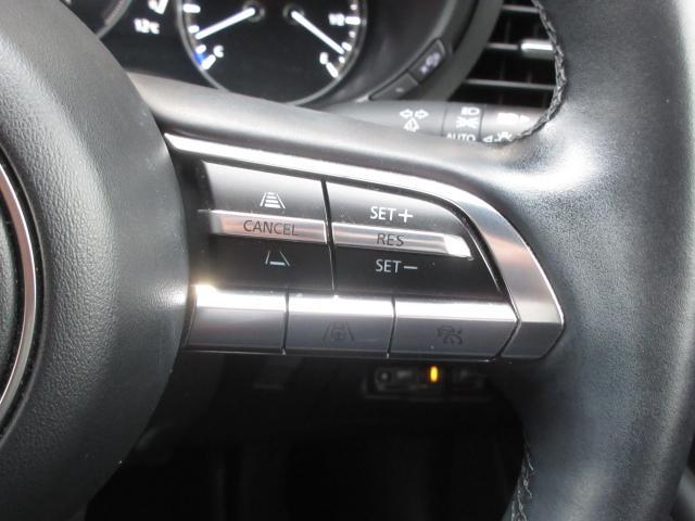 �O���ԗ��̑��x�ɍ����āA���Ԃ̑��x�𒲐��ł���u�l�q�b�b�i�}�c�_���[�_�[�N���[�Y�R���g���[���j�v�𑕔����Ă��܂��B