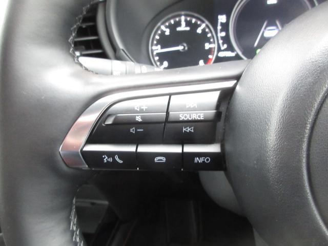 �X�e�A�����O�ɂ͊e��X�C�b�`��z�u�B����͎�ɃI�[�f�B�I�̑�����A�E��́u���[�_�[�N���[�Y�R���g���[���v�̑�����s���܂��B