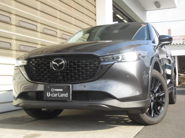 ＣＸ－５ ＸＤ　ブラックセレクション　衝突被害軽減システム　アダプティブクルーズコントロール　全周囲カメラ　オートマチックハイビーム　電動シート　シートヒーター　バックカメラ　オートライト　ＬＥＤヘッドランプ　Ｂｌｕｅｔｏｏｔｈ（17枚目）