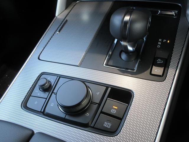 �i�r���I�[�f�B�I����_�C�����u�R���g���[���R�}���_�[�v�͎��R�Ǝ�̐G���ʒu�ɔz�u����Ă��܂��B�ڐ����O�����ƂȂ��茳�ő���ł��܂��B�܂��A�p�[�L���O�u���[�L�͓d�����ƂȂ��Ă���܂��B