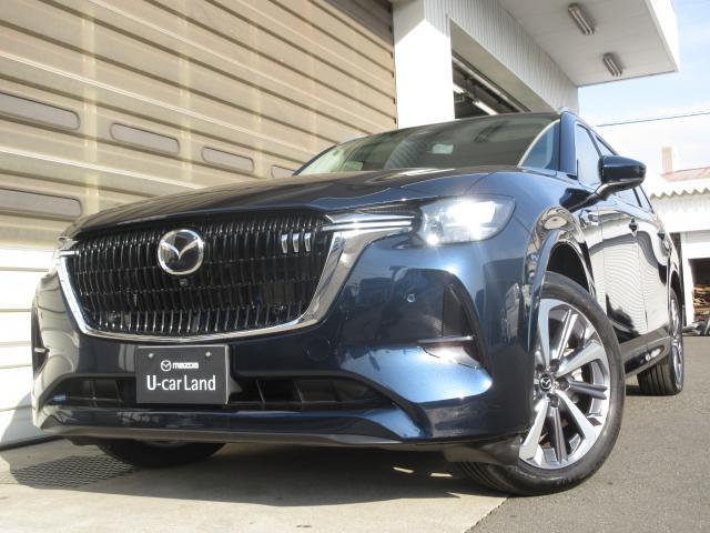 �c�t�B�����g�p�������݊��̂���t�����g�O�����ɁA�b�w-�W�O�ł��邱�Ƃ������A�N�Z���g�i�O�����C���V�O�j�A�j��ݒ肷�邱�ƂŁA�b�w-�U�O�Ƃ͈قȂ���ʊ������o���Ă��܂��B