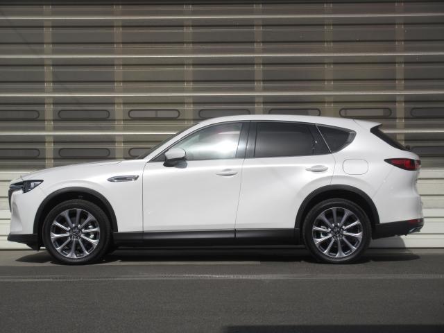 �������t�����g�t�F�C�X�Əc�u�����C�A�E�g�Ȃ�ł͂̃����O�m�[�Y�^�V���[�g�f�b�L�ɂ��A�͋��������I�ȍ��i�B