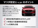 ＸＴ　衝突被害軽減システム　アダプティブクルーズコントロール　全周囲カメラ　オートマチックハイビーム　シートヒーター　両側電動スライド　バックカメラ　オートライト　ＬＥＤヘッドランプ　Ｂｌｕｅｔｏｏｔｈ（28枚目）