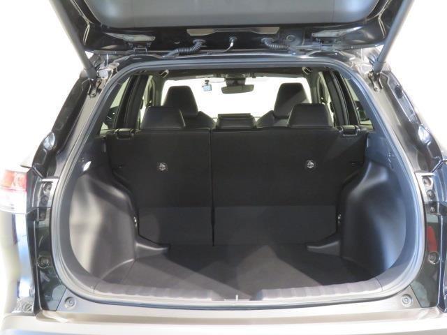 ＲＡＶ４ ハイブリッドアドベンチャー　衝突被害軽減システム　メモリーナビ　フルセグ　バックカメラ　ＥＴＣ　ドラレコ　ミュージックプレイヤー接続可　電動シート　オートクルーズコントロール　ＬＥＤヘッドランプ　スマートキー　キーレス　４ＷＤ（29枚目）