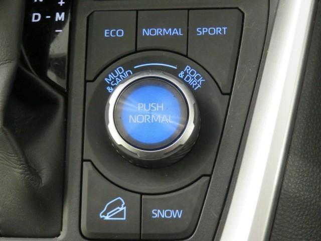 RAV4 アドベンチャー オフロードパッケージ 衝突被害軽減システム メモリーナビ フルセグ ETC ドラレコ CD ミュージックプレイヤー接続可 DVD再生 電動シート オートクルーズコントロール LEDヘッドランプ スマートキー キーレス(18枚目)