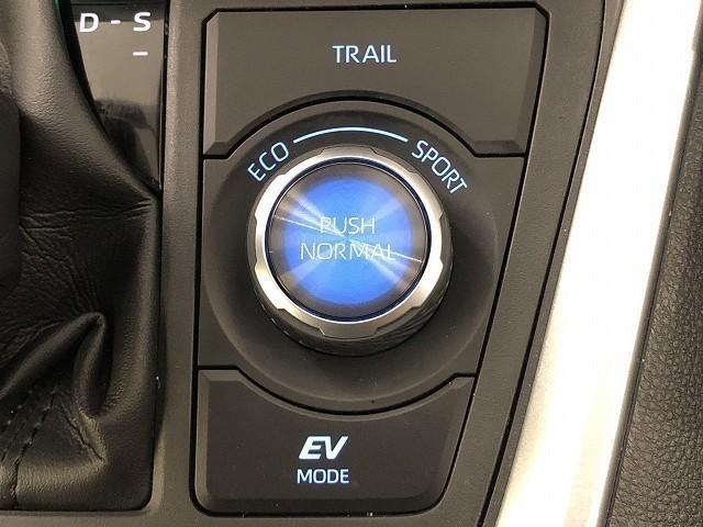 RAV4 ハイブリッドアドベンチャー 衝突被害軽減システム メモリーナビ フルセグ バックカメラ ETC ドラレコ ミュージックプレイヤー接続可 電動シート オートクルーズコントロール LEDヘッドランプ スマートキー キーレス 4WD(26枚目)
