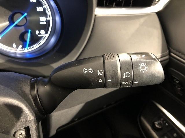 ハリアーハイブリッド Ｇ　レザーパッケージ　衝突被害軽減システム　メモリーナビ　フルセグ　バックカメラ　ＥＴＣ　ミュージックプレイヤー接続可　革シート　電動シート　オートクルーズコントロール　ＬＥＤヘッドランプ　スマートキー　キーレス（20枚目）