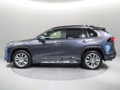 �֥����ɥե����פǤ���ή���褦�ʥܥǥ��饤��̥��Ū�Ǥ���͡���ߤ��䤹�����ʤΤ����狼��ޤ���͡� 5