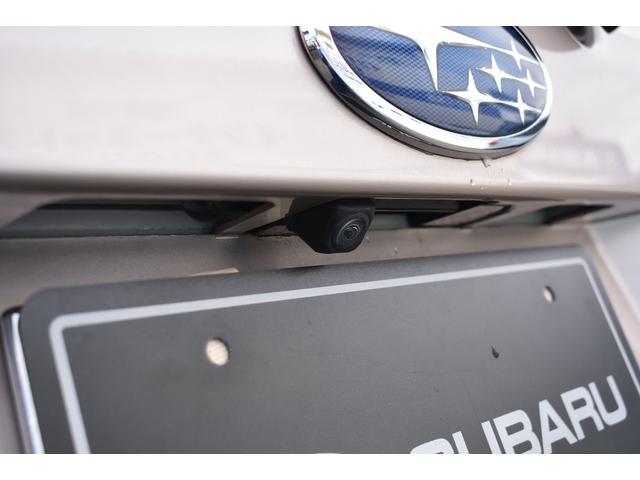 �����r���[�J���������ł��B