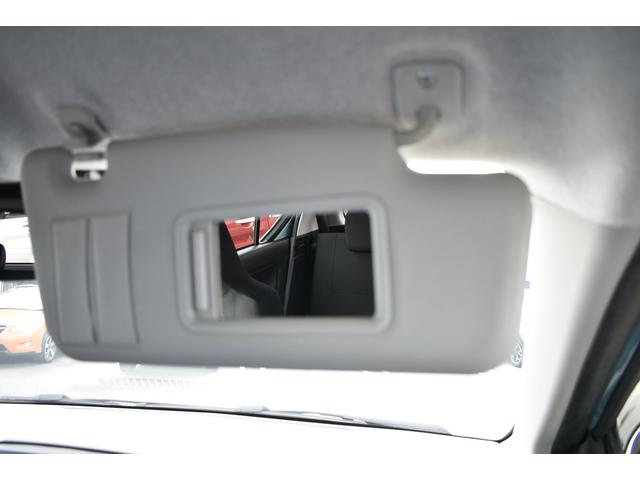 �o�j�e�B�[�~���[�����̃T���o�C�U�[