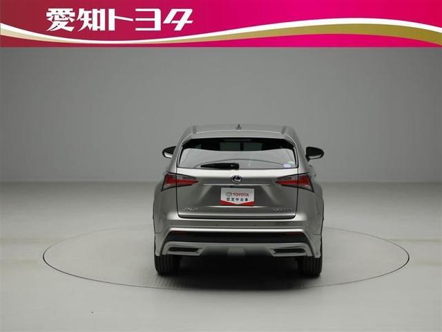 NX300h Fスポーツ バックモニター メモリーナビ(5枚目)