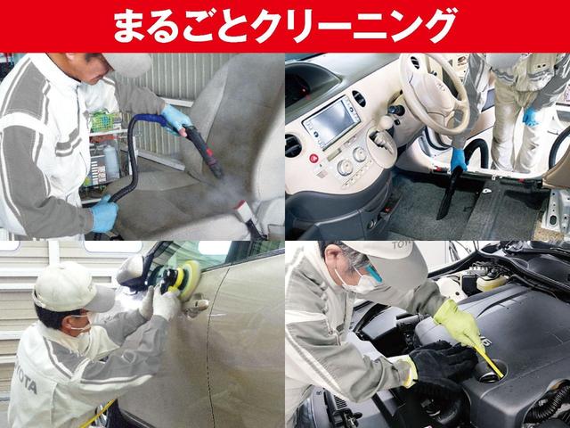 ハイブリッドZS 煌II 衝突被害軽減ブレーキ 後席モニター(22枚目)
