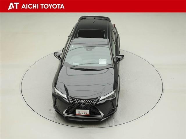 ＵＸ ＵＸ３００ｅ　バージョンＬ　衝突被害軽減システム　ＤＶＤ再生　ドラレコ　ムーンルーフ　レザーシート　メモリナビ　ＥＴＣ　オートクルーズコントロール　ミュージックプレイヤー接続可　電動シート　フルセグ　ＬＥＤヘッドランプ　ＡＢＳ（17枚目）