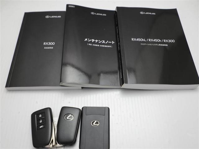 ＲＸ ＲＸ３００　Ｆスポーツ　プリクラッシュ　ＡＷ　Ｂカメラ　ＡＣ１００Ｖ電源　ＥＴＣ車載器　オートクルーズ　横滑り防止装置　エアバック　ナビ＆ＴＶ　キーレス　Ｐシート　ＬＥＤヘッドランプ　オートエアコン　ＡＢＳ　サイドエアバッグ（30枚目）