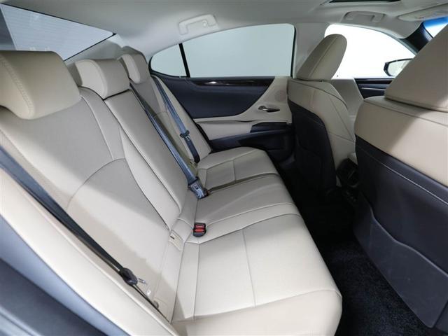 ���S�n�̗ǂ���ȋ�Ԃ�����ɐ[�����났�������炵�܂��B