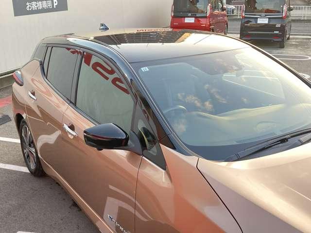 リーフ X Vセレクション プロパイロット 本革シート LEDライト レーダークルコン 360°カメラ 踏み間違い防止装置 LEDランプ セキュリティ ドライブレコーダー 1オーナー ETC インテリキー レーンキープアシスト サイドエアバッグ パワーウィンドウ ABS(18枚目)