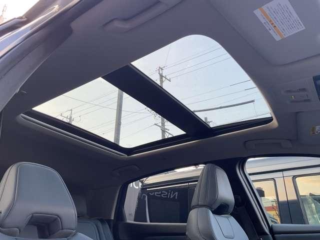 �T�����[�t�ł�