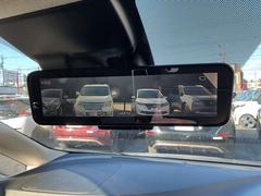 ����ƥꥸ����ȥ롼��ߥ顼�Ǥ����ͤ�ʪ�ǻ볦���פ��ƤƤ⡢���θ����Υ����������ڤ��ؤ��뤳�Ȥˤ�ꡢ���ꥢ�ʸ����볦��¸����Ƥ��ޤ��� 6