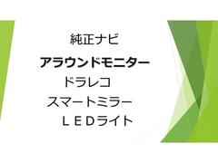 �����Ρ��Ȥο͵������Ǥ���������Τ��֤ˤϤĤ��Ƥ��ޤ� 5