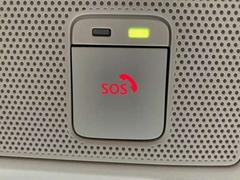 �롼���� ���������ϥ��������������ǥ����ܡ��ץ��ѥ����åȡ����ǥ�����󡡥ץ�ߥ��॰��ǡ�����󥤥�ƥꥢ 0201554A20260112E001 4