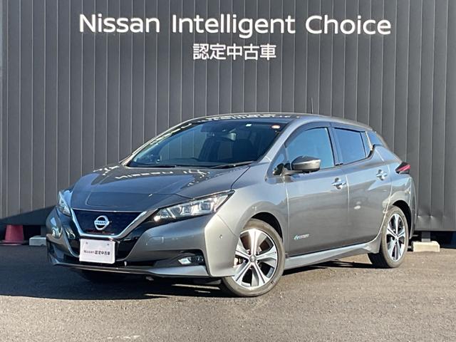 リーフ G 【12セグ】プロパイロット★全周囲カメラ★シート&ステアリングヒーター★スマートルームミラー★メーカーナビ&フルセグTV★前後ドラレコ★ETC★LEDヘッドライト★プロパイロットパーキング(36枚目)