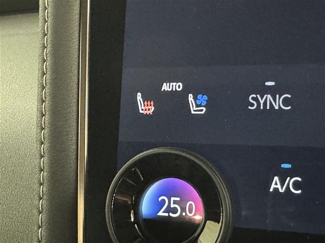 アルファード Ｚ　衝突被害軽減システム　フルセグ　バックカメラ　ＥＴＣ　ドラレコ　ミュージックプレイヤー接続可　後席モニター　サンルーフ　革シート　電動シート　オートクルーズコントロール　ＬＥＤヘッドランプ　３列シート（19枚目）