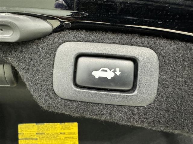 �y�p���[�o�b�N�h�A�z�{�^����Ńe�[���Q�[�g�������ŊJ���܂��B